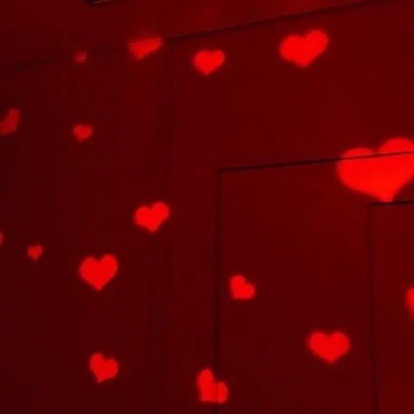 Meet your Posher, Alexandra - Picture 1 of 1